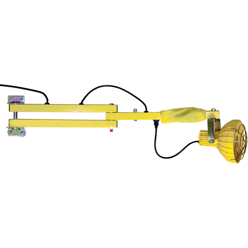 Dock Loading Lights with Flexible Arm, Incandescent Light, 40" Arm - Tri Lite Mars FLDL40