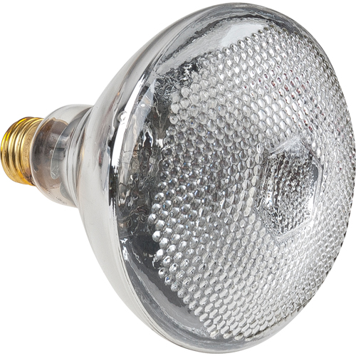 Economy Line Incandescent Lamps -  