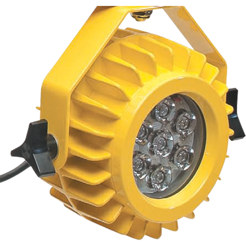 Heavy-Duty LED Dock Light - Head Only - Tri Lite Mars HDLED