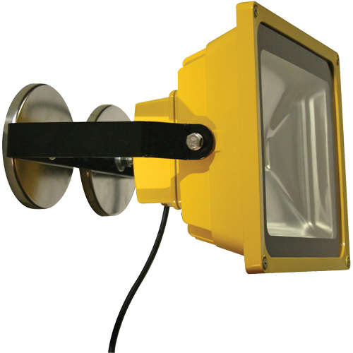 Beacon Light Floodlights, LED, 40 W, 6000 Lumens, Aluminum Housing - Lind Equipment LE970LED-MAG