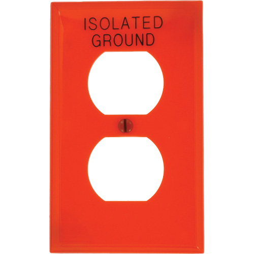 Duplex Wall Plate - Leviton 80703-IG