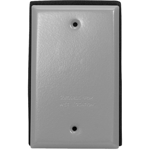 Plaque murale vierge - Leviton WM1B-GY