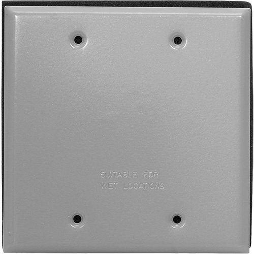 Plaque murale vierge - Leviton WM2B-GY
