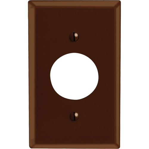 Receptacle Wallplate - Leviton 85004