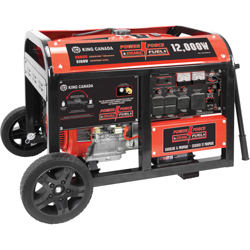 G&eacute;n&eacute;ratrice &agrave; essence/propane &agrave; d&eacute;marreur &eacute;lectrique - King Canada KCG-12001GE-DF