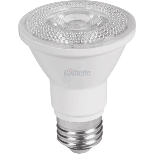 Ampoule DEL &agrave; intensit&eacute; variable, Diffuseur, 7 W, 500 lumens, base PAR20 -  