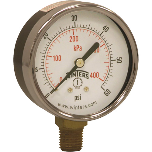 Economy Pressure Gauge, 2-1/2" , 0 - 60 psi, Bottom Mount, Analogue - Winters PEM213