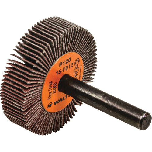 Disque &agrave; lamelles Coolcut, Oxyde d'aluminium, Grain 120, 1-1/2" x 3/8" x 1/4" - Walter Technologies Pour Surface 15F012