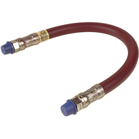 Rallonges pour pistolet graisseur - Alemite 317850-1
