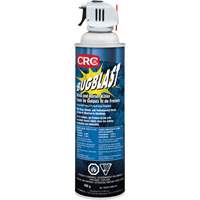Insecticide Bug Blast, 397 g, &agrave; base de solvant - CRC Canada 1006111