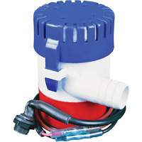 BenchtopPro&reg; Pump Assembly - CRC Canada 1751156