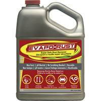 Agent antirouille super s&eacute;curitaire Evapo-Rust, Cruche - CRC Canada 1752833