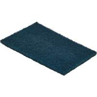 Detex&reg; Metal Detectable Scouring Pad, 8-9/10" L x 5-9/10" W - LPS C59660