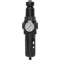 Modulair 400 Filter/Regulator with Manual Drain, 3/4" NPT, 200 psi, 9.1 fl. oz. Capacity - Topring 50.250A