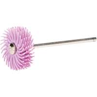 Scotch-Brite Radial Bristle Discs, Pumice Grit, 3/4" Dia. - 3M SB25759