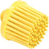 Disques bristle Roloc, Grain 80, 1" dia. - 3M SB18706