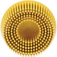 Disques &agrave; soies Roloc Scotch-Brite, Grain 80, 2" dia. - 3M SB18732