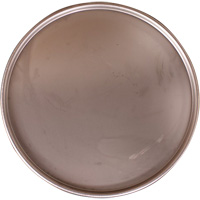 Steel Drum Lid - Mauser Packaging NDHDS0350