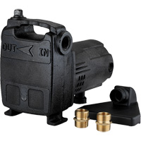 Portable Cast Iron Transfer Pump, 115 V, 950 GPH, 1/2 HP - LEO PM050B