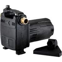 Portable Cast Iron Transfer Pump, 115 V, 950 GPH, 1/2 HP - LEO PM050B