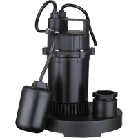 Pompe de puisard submersible thermoplastique, 2560 gal./h, 115 V, 4,6 A, 1/3 CV - LEO LSD-252PLT