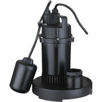 Pompe de puisard submersible thermoplastique, 2560 gal./h, 115 V, 4,6 A, 1/3 CV - LEO LSD-252PLT
