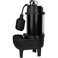 Pompe d'&eacute;gout en fonte, 120 V, 9,5 A, 6400 gal./h, 3/4 CV - LEO USC56W-1-20