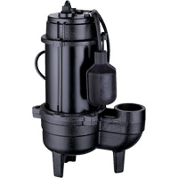 Pompe d'&eacute;gout en fonte, 120 V, 9,5 A, 6400 gal./h, 3/4 CV - LEO USC56W-1-20