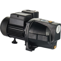 Pompe &agrave; jet en fonte &agrave; double tension pour puit peu profond, 115 V/230 V, 1100 gal./h, 1 CV - LEO UJM100-1