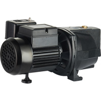 Pompe &agrave; jet en fonte &agrave; double tension pour puit peu profond, 115 V/230 V, 1100 gal./h, 1 CV - LEO UJM100-1