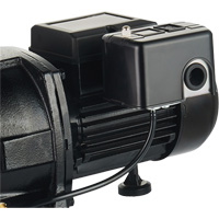 Pompe &agrave; jet en fonte &agrave; double tension pour puit peu profond, 115 V/230 V, 1100 gal./h, 1 CV - LEO UJM100-1
