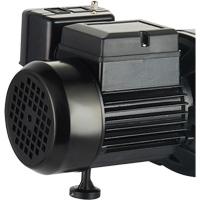 Pompe &agrave; jet en fonte &agrave; double tension pour puit peu profond, 115 V/230 V, 1100 gal./h, 1 CV - LEO UJM100-1