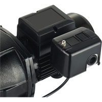 Pompe &agrave; jet en fonte &agrave; double tension pour puit peu profond, 115 V/230 V, 1100 gal./h, 1 CV - LEO UJM100-1