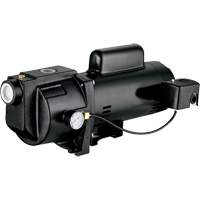 Pompe &agrave; jet en fonte &agrave; double tension pour puit peu profond, 115 V/230 V, 1260 gal./h, 1 CV - LEO UJM100-2