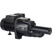Dual Voltage Cast Iron Convertible Jet Pump, 115 V/230 V, 1400 GPH, 3/4 HP - LEO UDPM75-1
