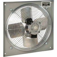 All Purpose Wall Fans, Commercial, 2 Speed, 10" Diameter - Air Master 24100