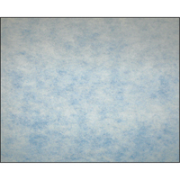 Filtres en m&eacute;dias synth&eacute;tiques &agrave; arrestance &eacute;lev&eacute;e, Tampon, MERV 5, 20" la x 2" p x 16" h - Camfil 357800-5001