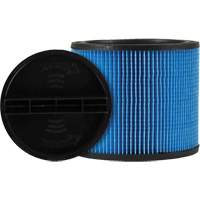 Filtre pour aspirateur Ultra-Web, Cartouche, Pour 5 gal. US - Shop Vac 9035033