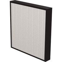 V&eacute;ritables filtres HEPA AeraMax Pro AM3 & AM4 2", Boîte, 13,75" la x 2,25" p x 14,38" h - Fellowes Purificateurs D'air 9416602