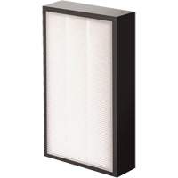 V&eacute;ritables filtre HEPA AeraMax Pro AM2 1-3/4", Boîte, 7,38" la x 1,88" p x 12,88" h - Fellowes Purificateurs D'air 9544301
