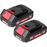 2.0Ah Lithium Battery - 2 Pack, 20 V - Shop Vac 5430042