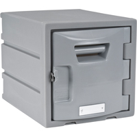 Locker, 12" x 15" x 12", Grey, Assembled - Remcon Plastics Incorporated 01 520 1212 BX1 000