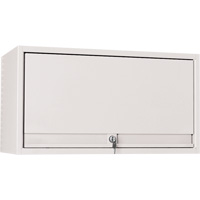 Nexus System - Overhead Cabinets - Lista OHC3616RDRGLG+NX/OHCBRK