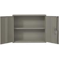 Wall Mounted Cabinet, Steel, 2 Shelves, 30" H x 36" W x 12" D, Grey - Perfix Inc. 88 R 18-12-9363