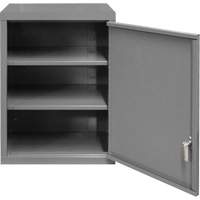 Wall-Mounted Cabinet, 27" H x 13-11/16" W x 18" D, 2 Shelves, Steel, Grey - Durham Manufacturing 070SD-95