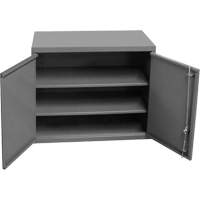 Wall-Mounted Cabinet, 27" H x 13-11/16" W x 35-7/8" D, 2 Shelves, Steel, Grey - Durham Manufacturing 072SD-95