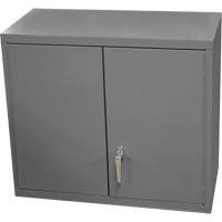 Wall-Mounted Cabinet, 27" H x 13-11/16" W x 35-7/8" D, 2 Shelves, Steel, Grey - Durham Manufacturing 072SD-95