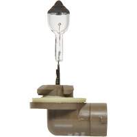 896 Basic Fog Light Bulb, Halogen, 37.5 W, Off White - Sylvania 31581