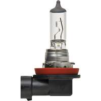 H8 Basic Headlight Bulb, Halogen, 35 W, Off White - Sylvania 31594