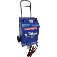 Chargeur rapide 6/12 V &agrave; roues de calibre professionnel - Associated Equipment 6012AGM